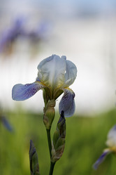 Similar image 21539912