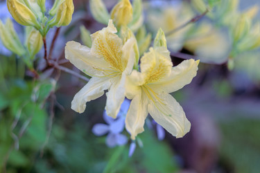 Similar image 21539913