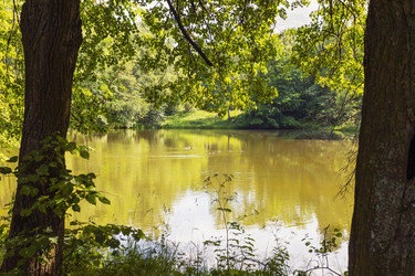 Similar image 21537994