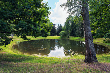 Similar image 21542545