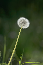 Similar image 21538440