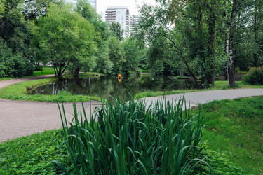 Similar image 21542546