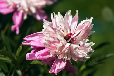 Similar image 21539916