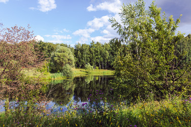 Similar image 21542547