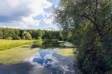 Similar image 21542549