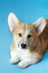 Similar image 21538788