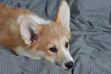 Similar image 21539031