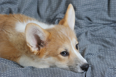 Similar image 21539032