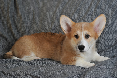 Similar image 21539033