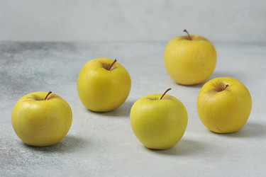 Similar image 21539155