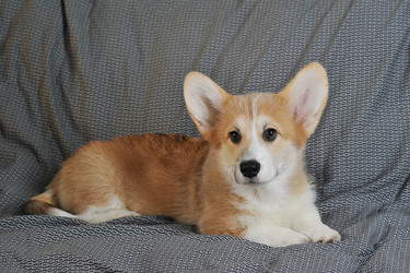 Similar image 21539163