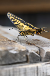 Similar image 21538010