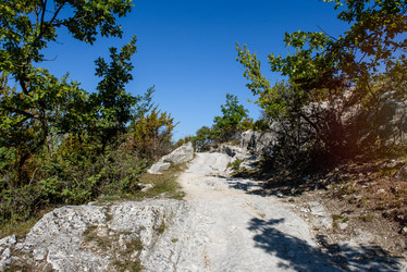 Similar image 21538458