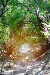 Similar image 21538460