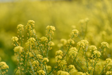 Similar image 21546304