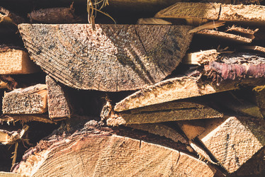 Similar image 21544824