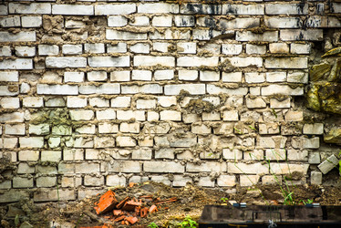 Similar image 21544832