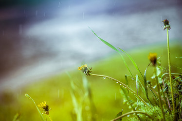 Similar image 21544834