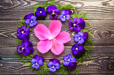 Similar image 21544836