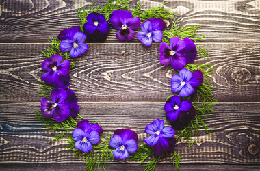 Similar image 21544840