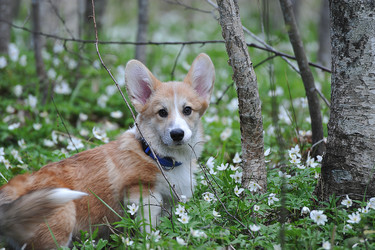 Similar image 21538789