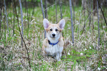 Similar image 21538797