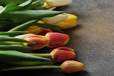 Similar image 21538803