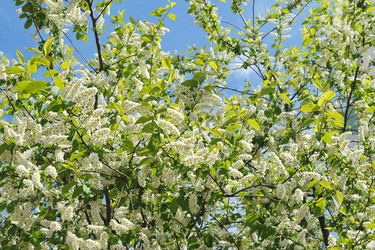 Similar image 21538826