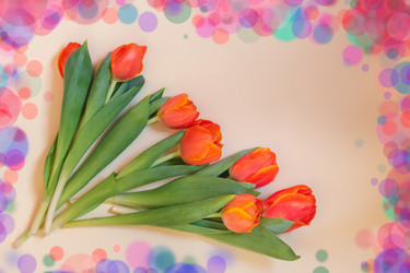 Similar image 21538210