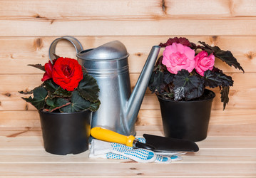 Similar image 21538228