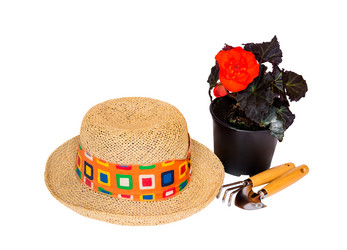 Similar image 21538233