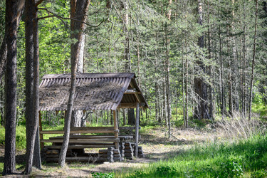 Similar image 21541109