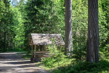 Similar image 21541111