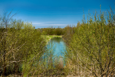 Similar image 21541115