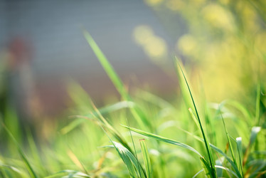 Similar image 21541116