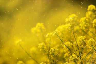 Similar image 21541117