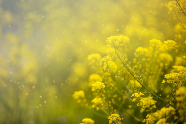 Similar image 21541118