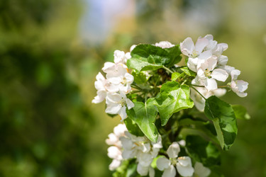 Similar image 21541119