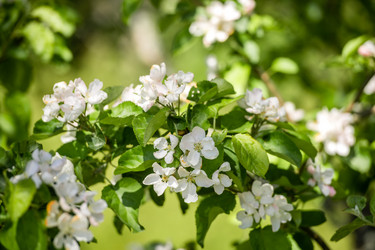 Similar image 21541120