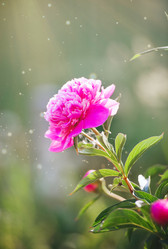 Similar image 21541121