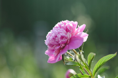 Similar image 21541123