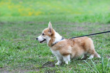 Similar image 21539175