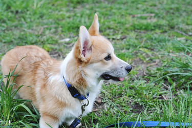 Similar image 21539177