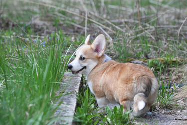 Similar image 21539217