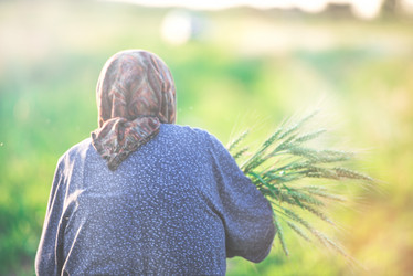 Similar image 21544855