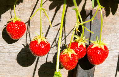 Similar image 21538260