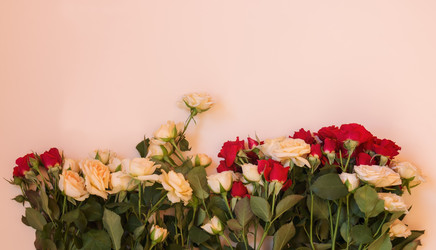 Similar image 21538281