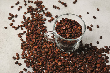 Similar image 21538838