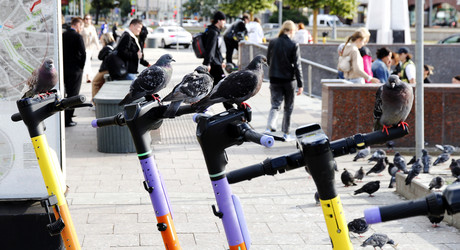 Similar image 21538012