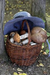 Similar image 21538013